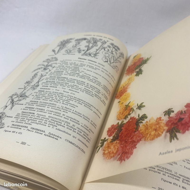 Comment on soigne son jardin par G. Truffaut et P. Hampe (image 6)