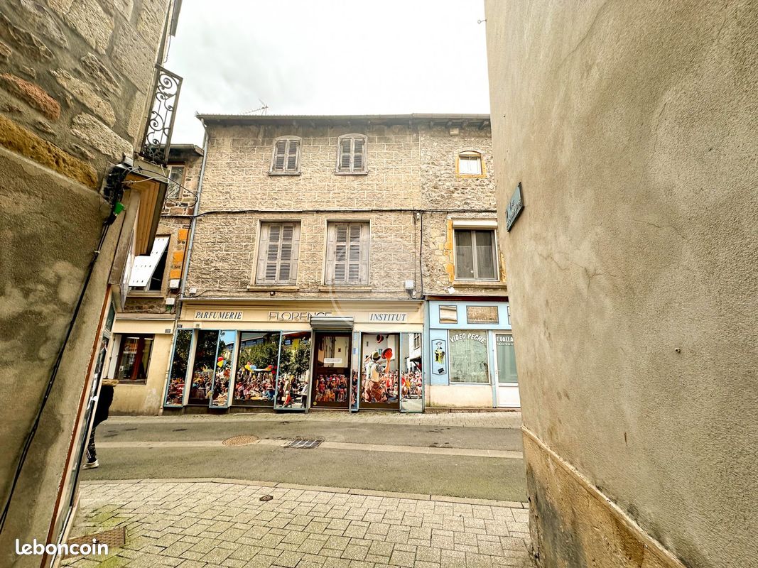 Maison de ville 9 pièces 218 m² (image 1)