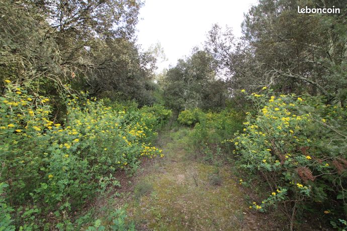 Terrain 400 m² Saumane