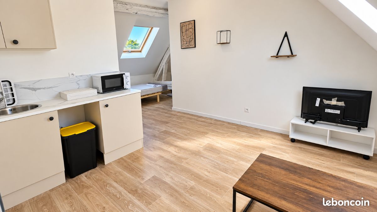 Appartement 1 pièce 23 m² · à Olivet · 23 m² · 520 €/mois