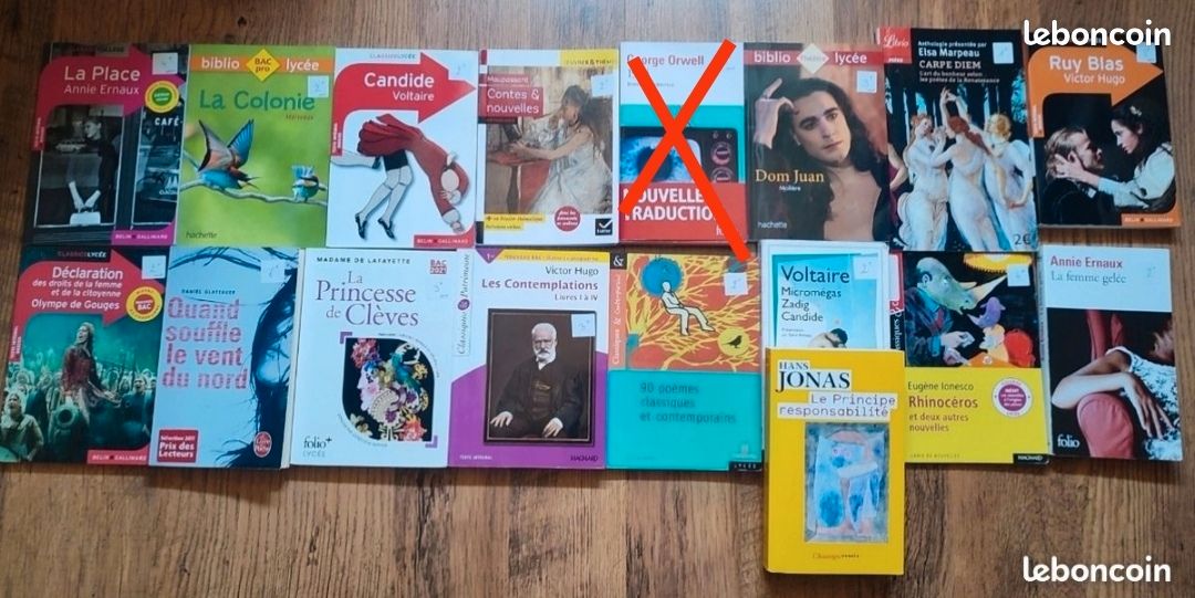 Livres de français (image 1)