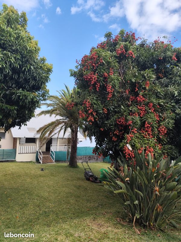 Maison 4 pièces 91 m² · à Petite-Île · 91 m² · 1 350 €