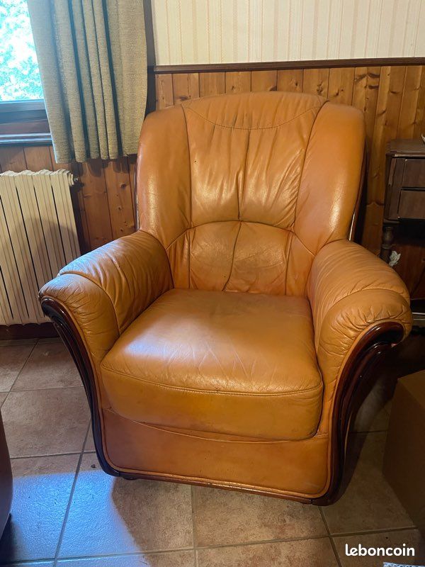 Fauteuil cuir ancien (image 1)