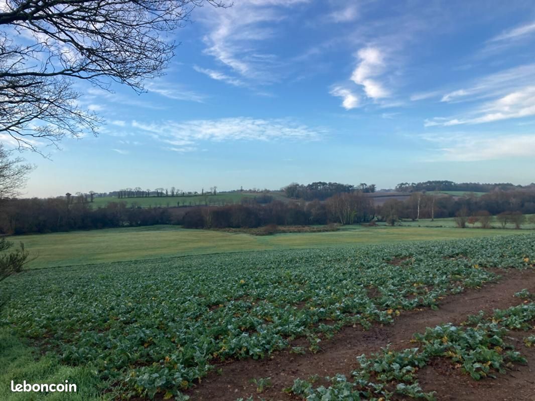 Terrain 520 m² · à Pluvigner · 520 m² · 70 520 €