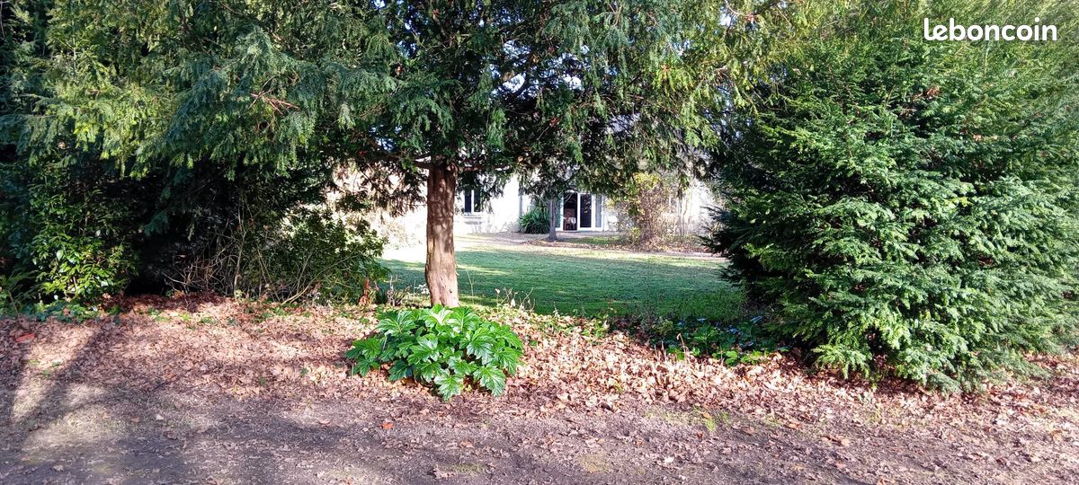 Maison 6 pièces 142 m² · à Faye-la-Vineuse · 142 m² · 277 000 €