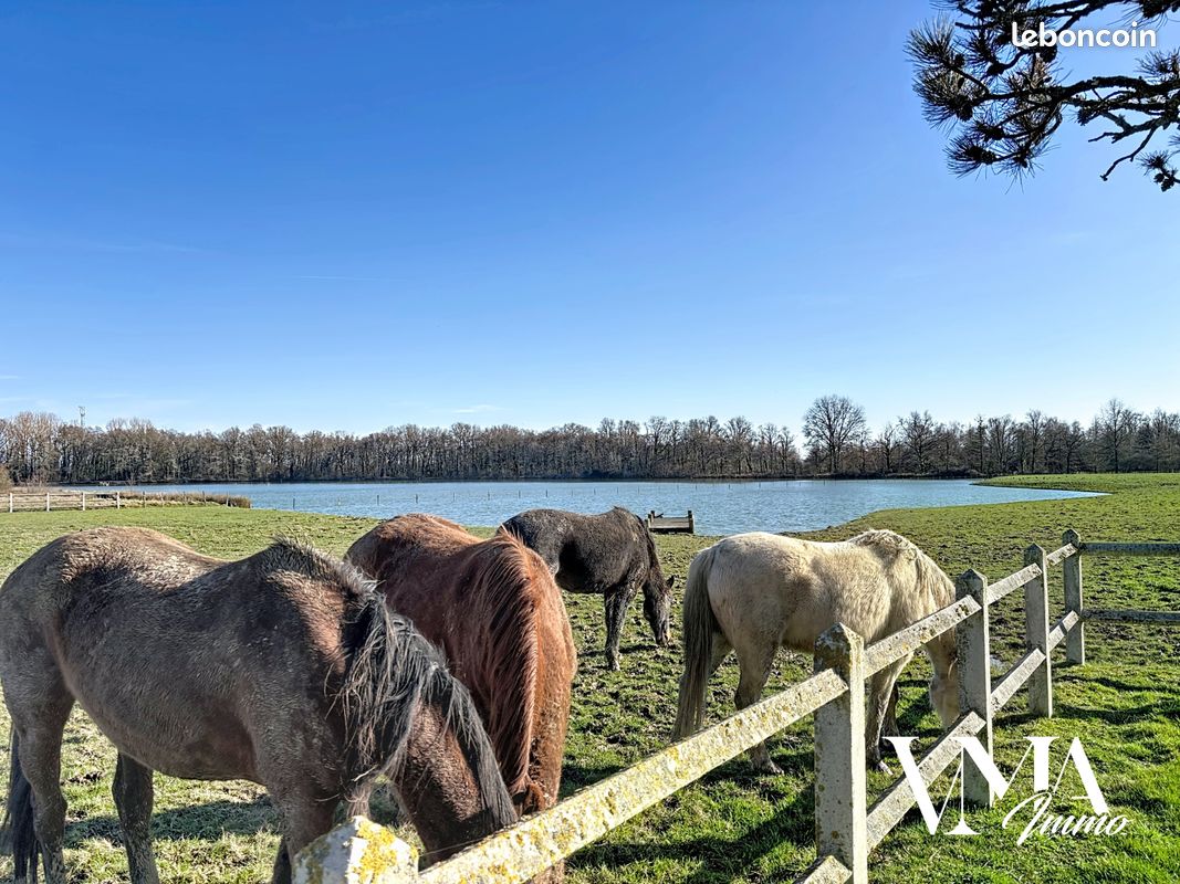 Maison 10 pièces 500 m² · à Villars-les-Dombes · 500 m² · 2 185 000 €