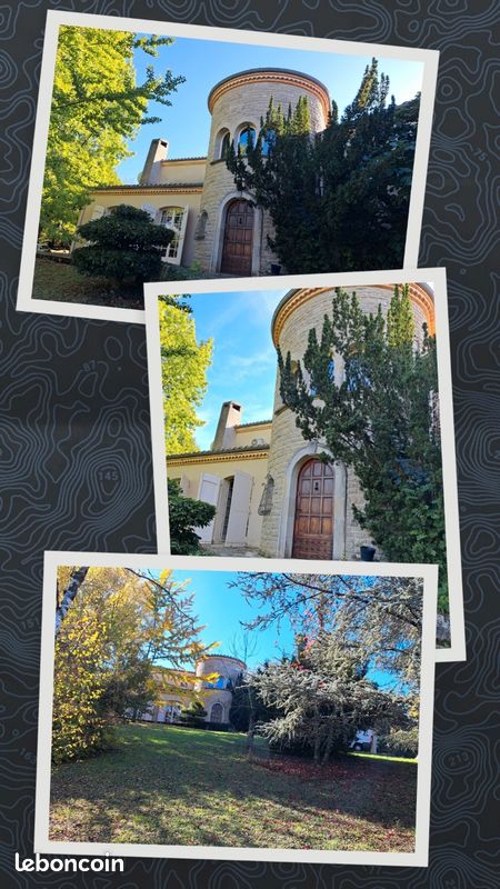 Vente immobilière immo · à Puygouzon · 750 000 €