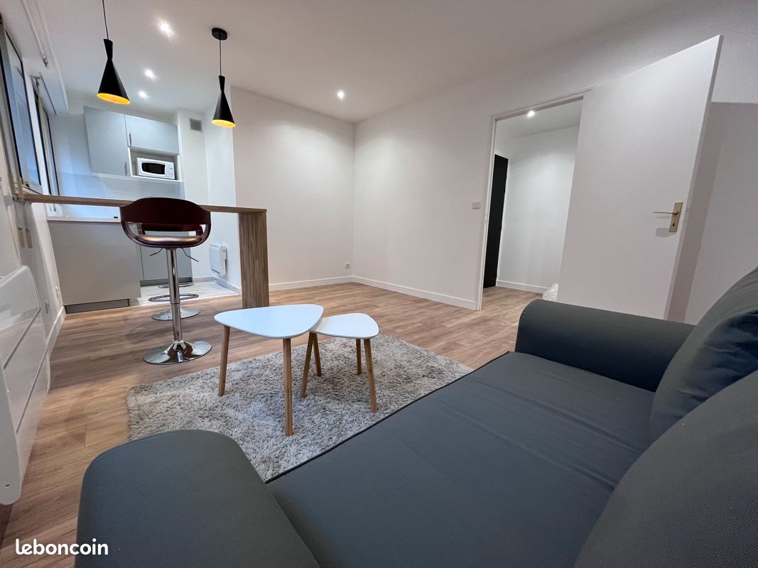 Poitiers Centre-ville - Location Meublée - Poitiers 86000 (image principale 0)