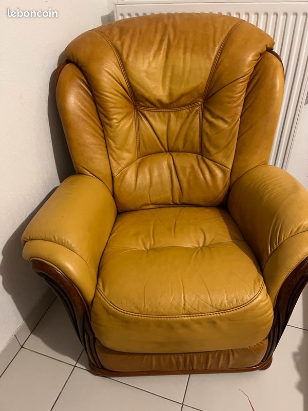 Fauteuil cuir (image 1)