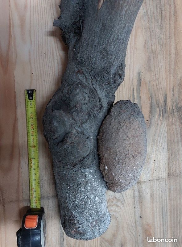 Art populaire primitif, sculpture sur bois, artisanat en bois