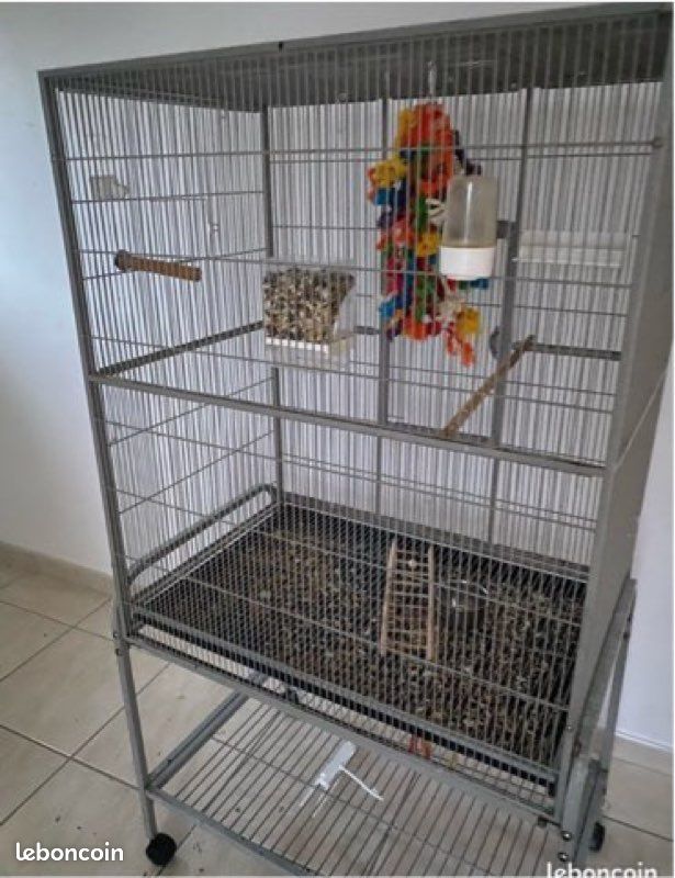 Cage à perroquet (image 2)