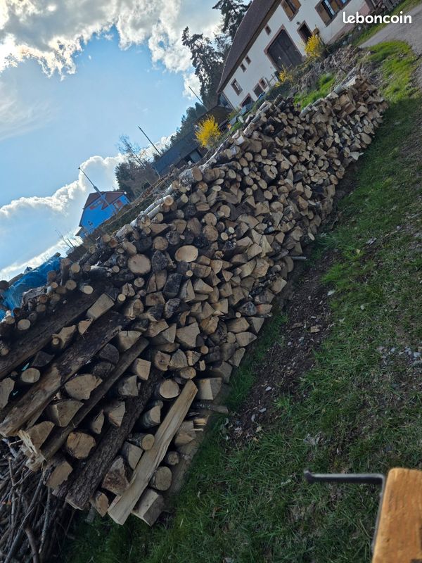 Bois (image 1)