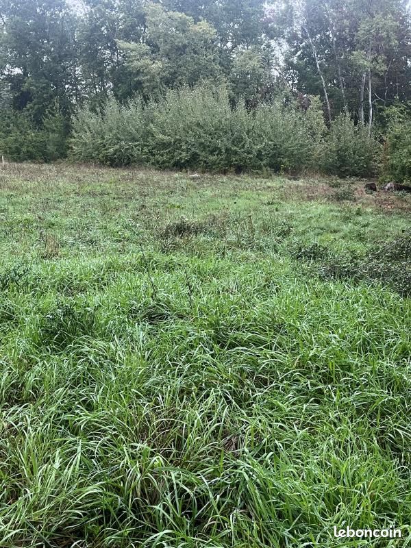 Terrain 1570 m² · à Coursac · 35 000 €