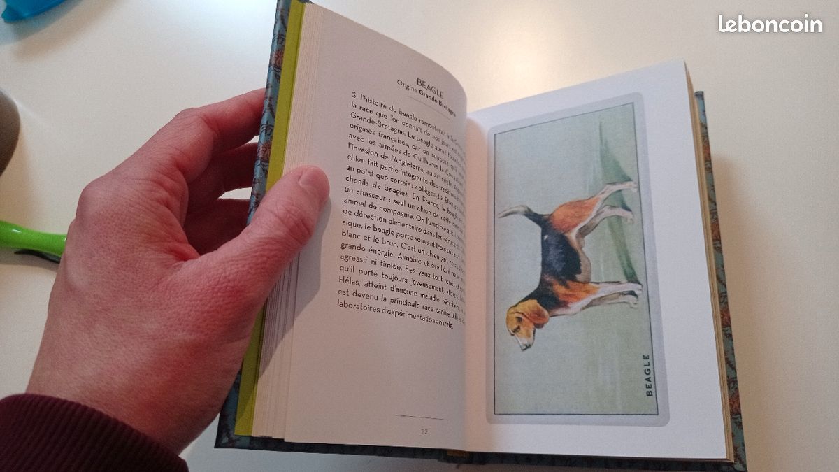 Le petit livre des chiens (image 7)