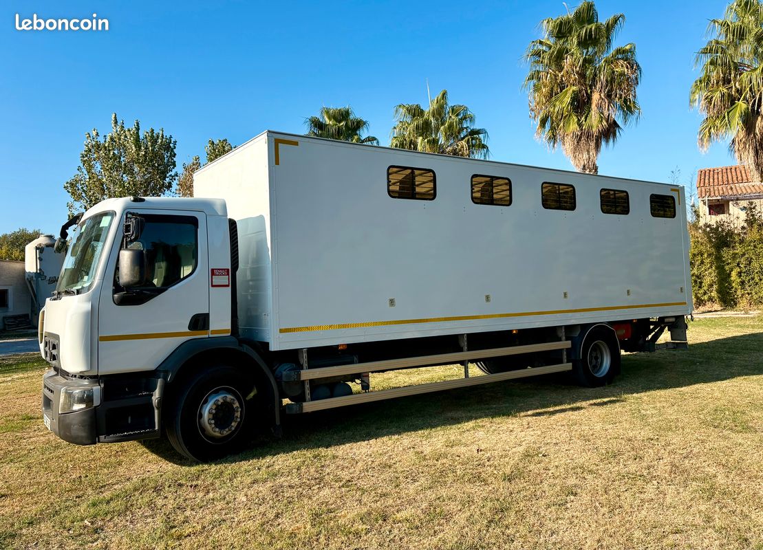 Camion Chevaux Premium 11 places (image 2)