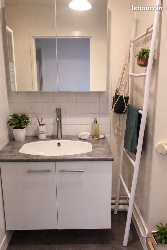 Miroir Rangement Salle De Bain pas cher - Meilleures ofes sur le neuf et l'occasion