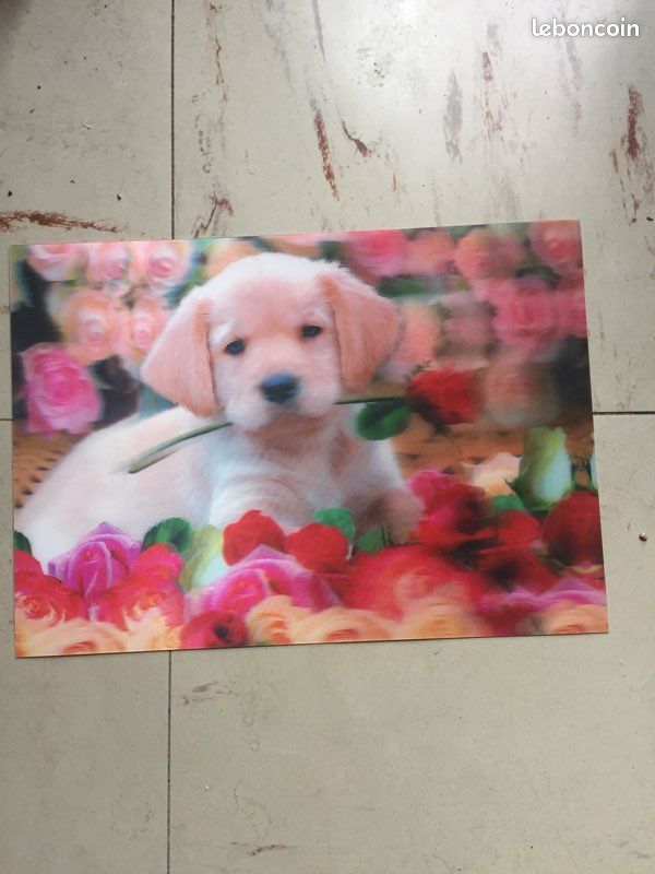 Image 3 D chiot (image 1)
