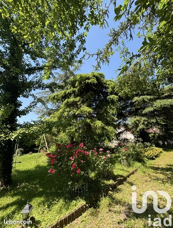https://img.leboncoin.fr/api/v1/lbcpb1/images/66/93/cf/6693cfa3baaeabe188d4072d5480123ee040a25c.jpg?rule=ad-image