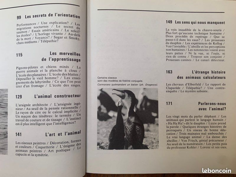 La pensée non humaine - encyclopédie planète (image 4)