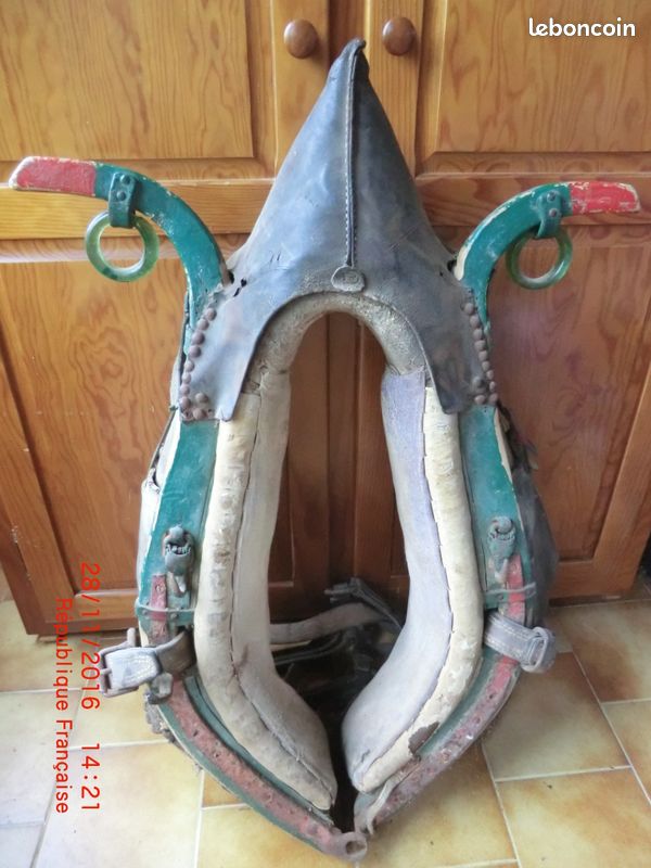 Collier de cheval (image 1)