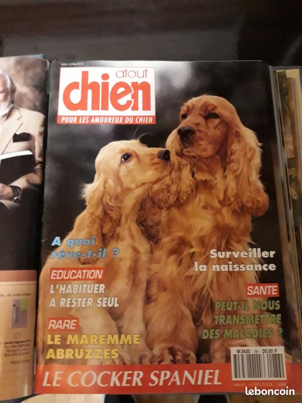 Collection atout chien (image 2)
