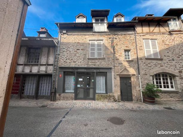 Maison de ville 9 pièces 240 m²