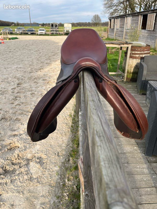 Selle Antares Hampton 17,5p - Sport & Plein air