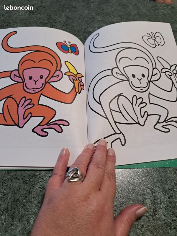 Livre de coloriage (image 6)
