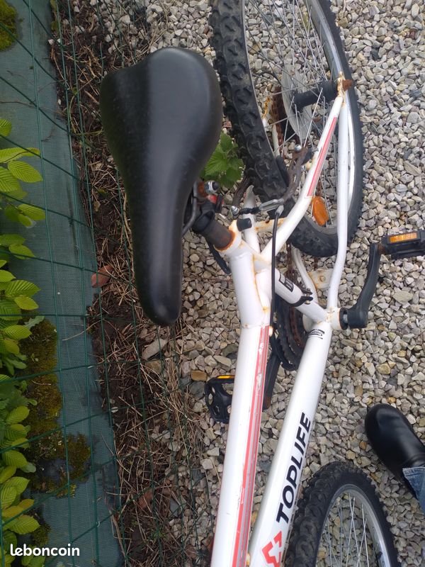 Vélo 24 pouces (image 4)