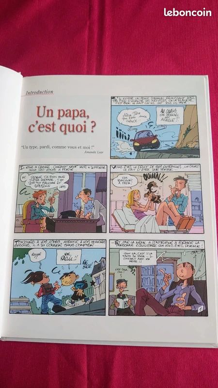 La vérité sur les papas - Monsieur B - (image 6)