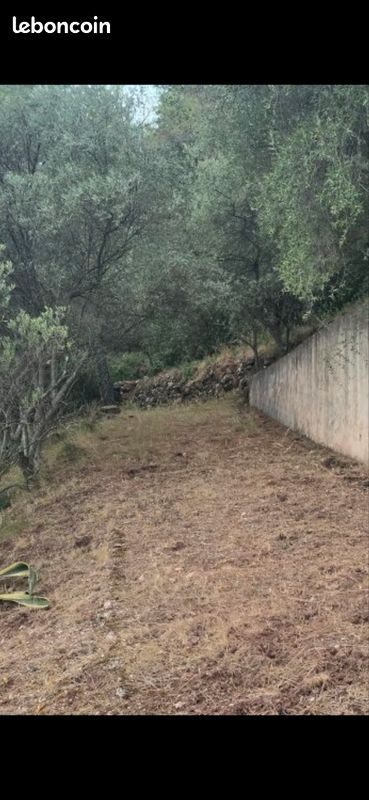 Terrain zonne N · à Solliès-Ville · 60 000 €
