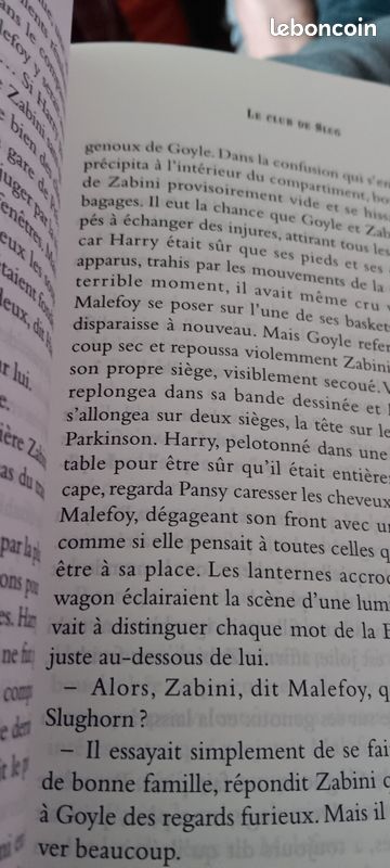 Livre Grand Format Harry Potter (image 3)