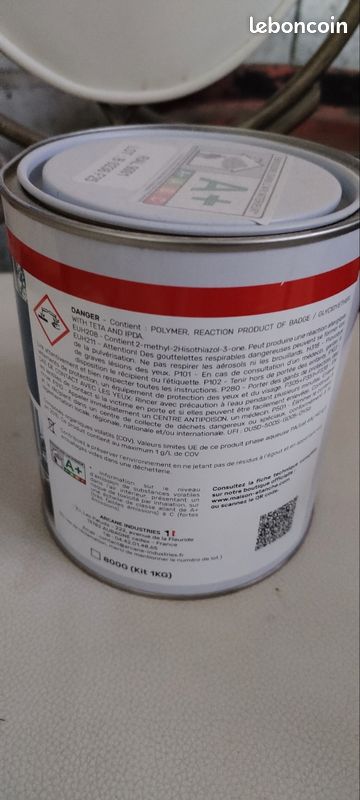 Peinture radiateur (image 3)
