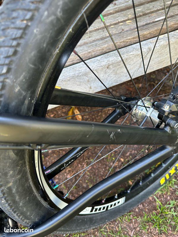 Octane one zircus 2023 (image 12)