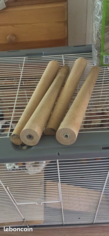 Cage rongeur équipée + nombreux accessoires et nourriture (image 2)