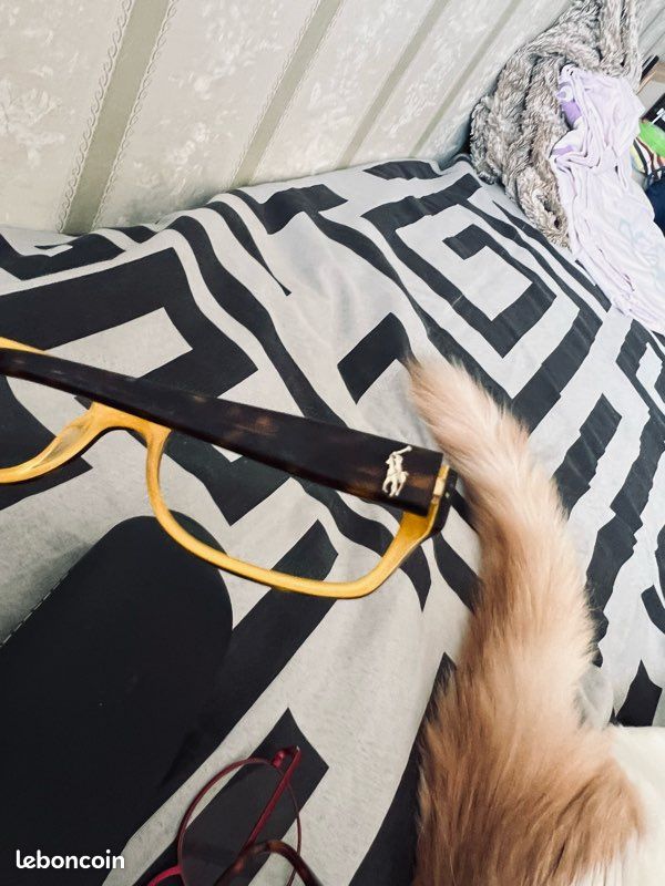 Lunettes de vue léopard Ralph Laurent (image 6)