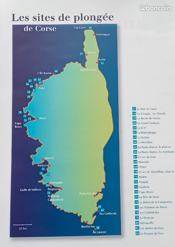 Guide les plus belles plongées de Méditerranée et de Corse (image 6)