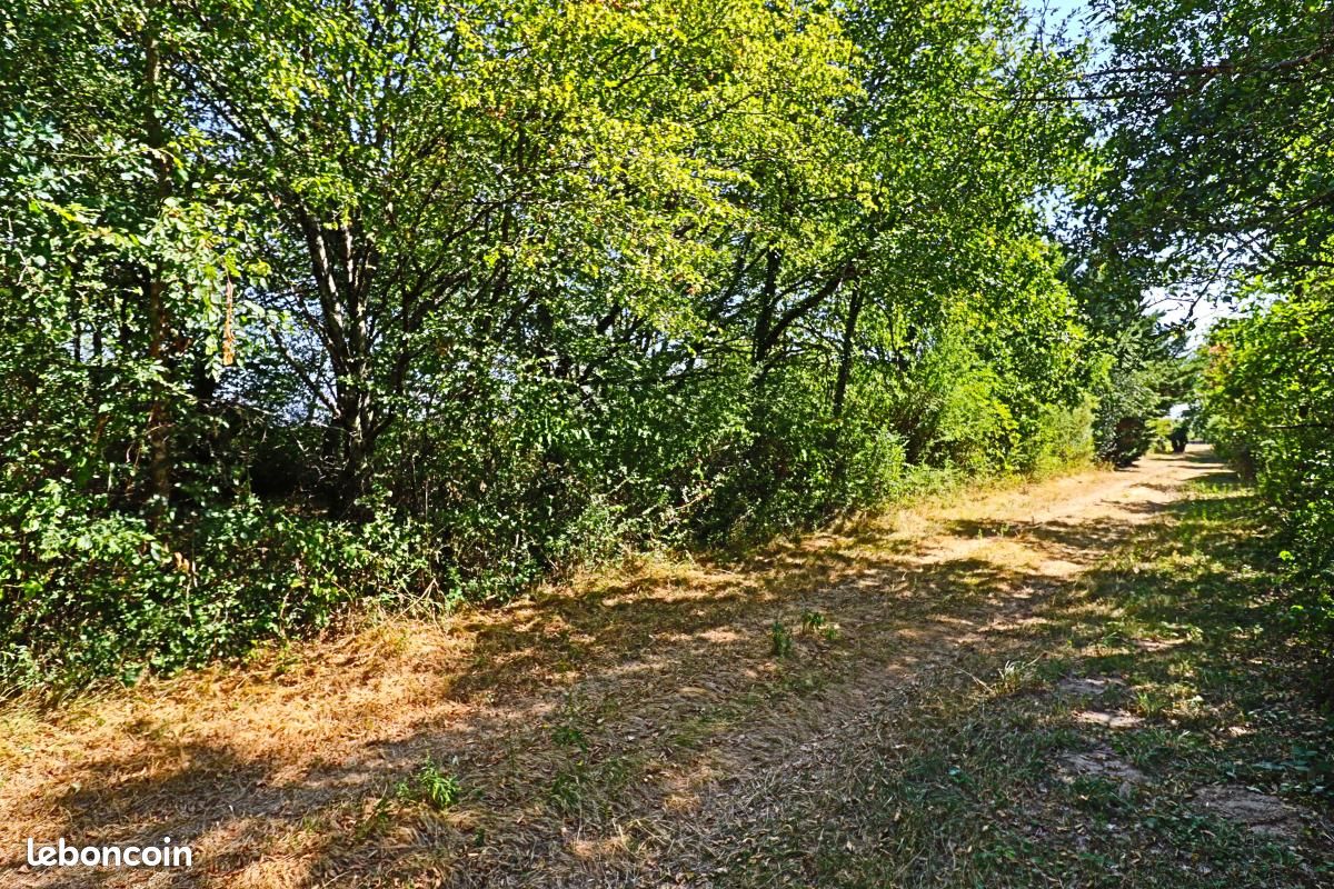 Terrain 1 500 m² Tracy Sur Loire (image 10)