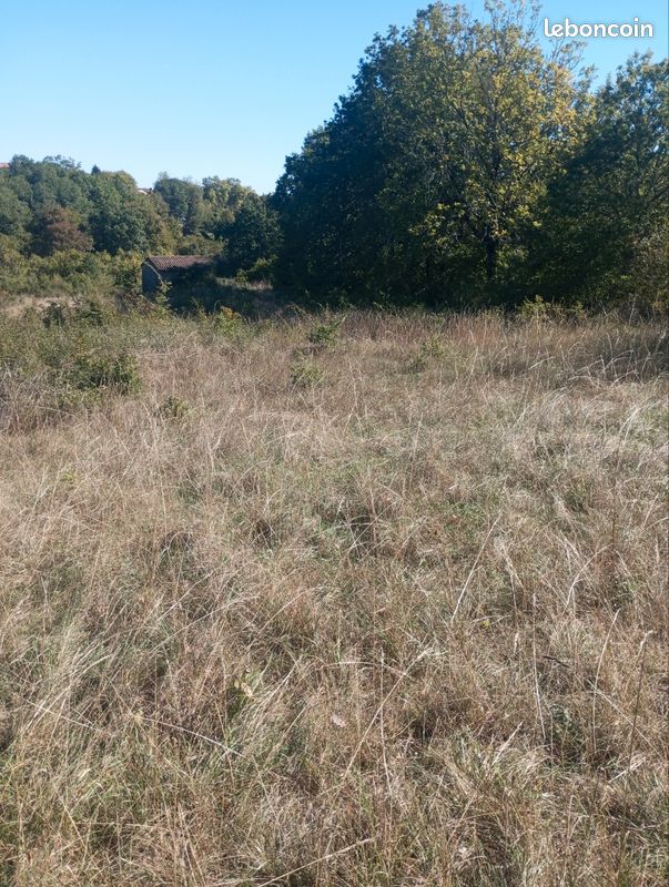 Terrain constructible · à Albas · 200 000 €