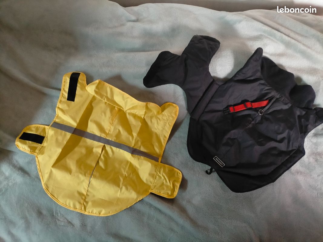 Animaux:Manteau hiver / Imperméable (image 1)