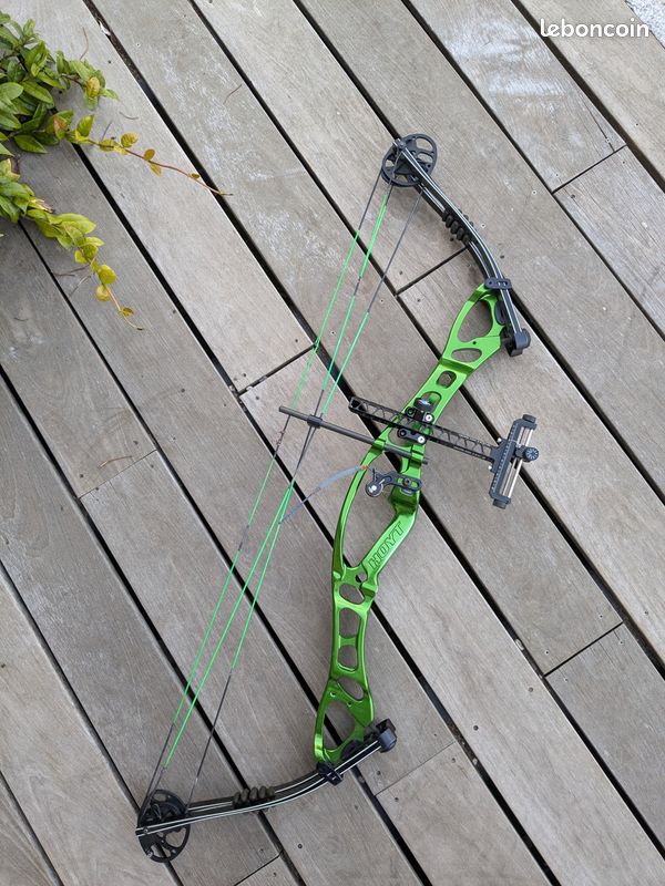 Détente De Rechange Hoyt Pour Branches Recurve ILF – Paire, Pour Pièces/réparation
