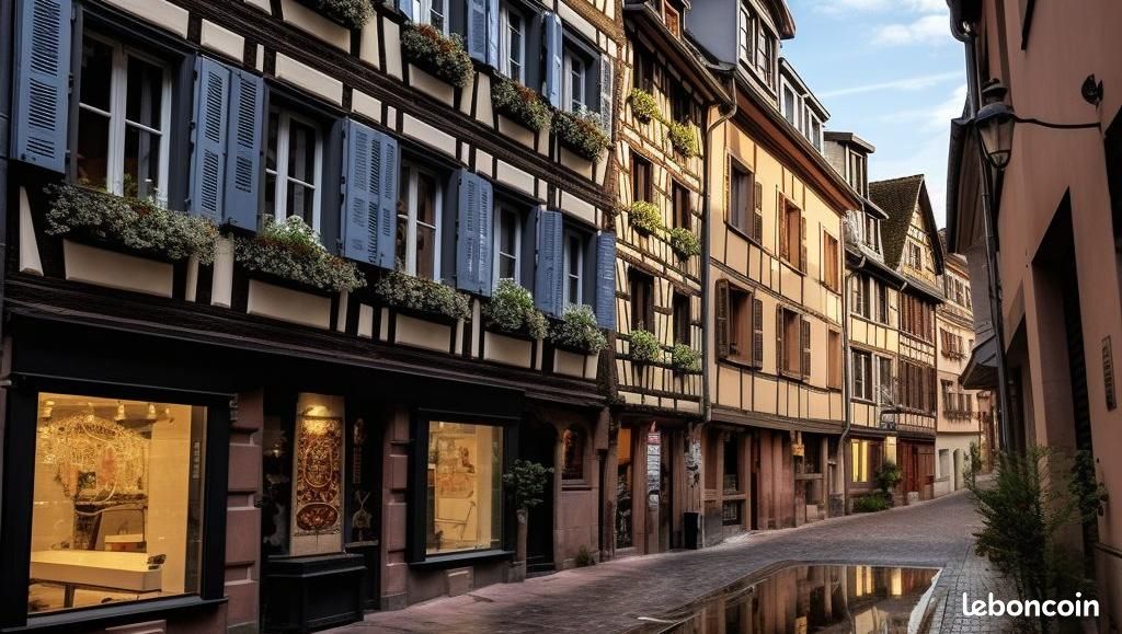 Immeuble 374 m² · à Strasbourg · 374 m² · 1 879 500 €