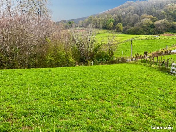 Terrain 647 m² Ainhoa