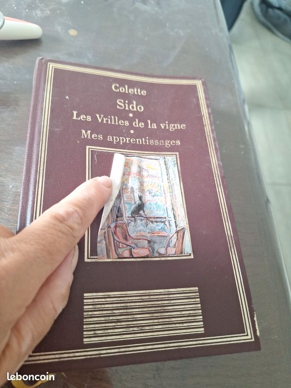 Livre de Colette Sido les vrilles de la vigne mes apprentissage (image 2)