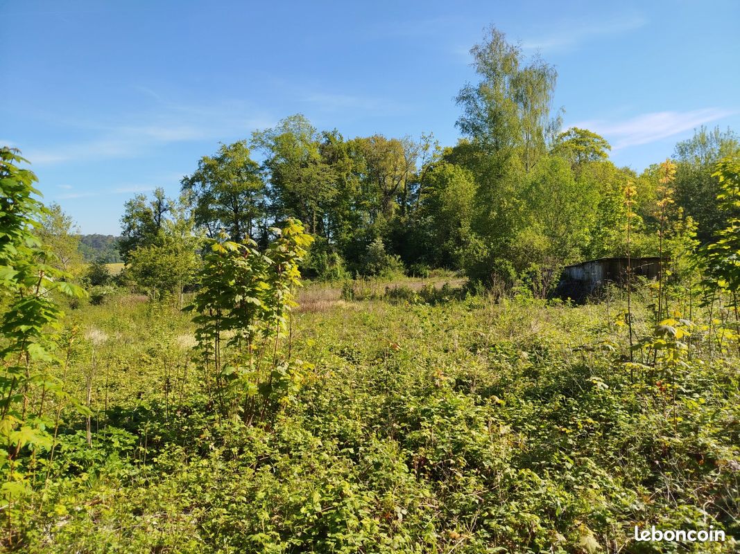 Bâtiment sur grand terrain calme · à Saint-Witz · 45 000 €