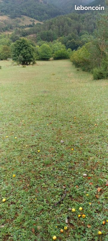 TERRAIN 4840 m2 · à Puilaurens · 11 800 €