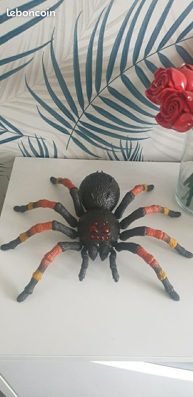 Grande Araignée (image 1)