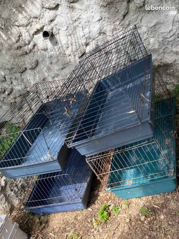 Cages lapin , cochon d Inde (image 2)