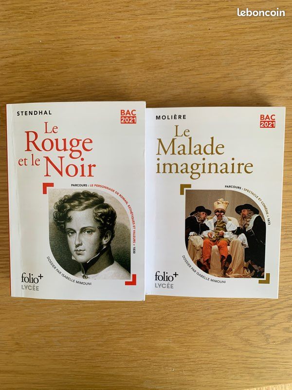 Lot de 2 livres Bac de français (image 1)