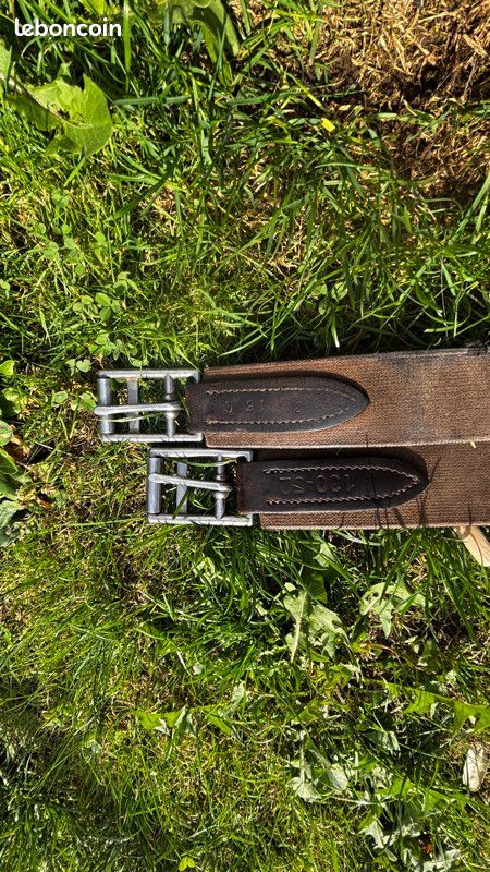 Sangle CWD 130 (image 2)